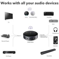 WiiM Mini Audio Streamer - thumbnail