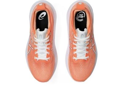 ASICS GEL-Kayano 31 Heren