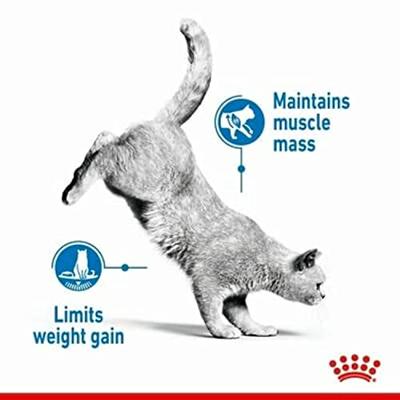 Royal Canin Light Weight Care kattenvoer 3 kg - thumbnail