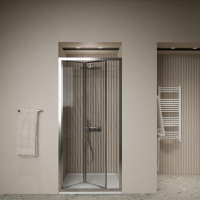 Pendeldeur BWS Arema 80x190 cm Profiel Chroom Boss & Wessing