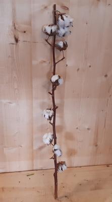 Kerstgroen tak Katoen Warentuin Natuurlijk - Warentuin natuurlijk