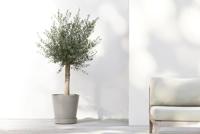 Ecopots Plantenschotel met Wielen Taupe Ø41,6cm - thumbnail