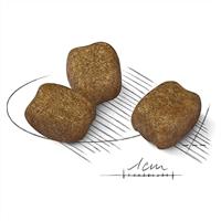 Royal Canin Dental Care Mini hondenvoer 3 kg - thumbnail