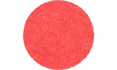 PFERD TOOLS CDR 38 CO-COOL 80 42776408 Schuurblad Korrelgrootte (num) 80 (Ø) 38 mm 100 stuk(s)