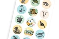 Natural History (Paperback) - thumbnail