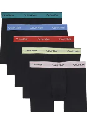 Calvin Klein 5-Pack Heren Boxershorts brief - Modern Cotton - Multipack heren boxershorts