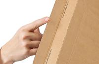 Colompac 1554021 ColomPac ordnerverzenddoos 1 stuk(s) - thumbnail