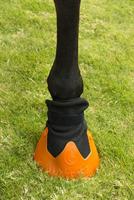 Hoefschoen zool los 140 mm M rood - thumbnail