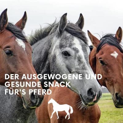 Lax Luzerne aan Speeltouw voor Paarden