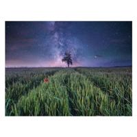 Ravensburger legpuzzel nachthim.uber dem kornfeld, 1500st. - thumbnail