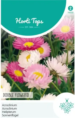 Zaden Acroclinium dubbelbloemig gemengd Hortitops - Hortitops