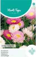 Zaden Acroclinium dubbelbloemig gemengd Hortitops - Hortitops - thumbnail