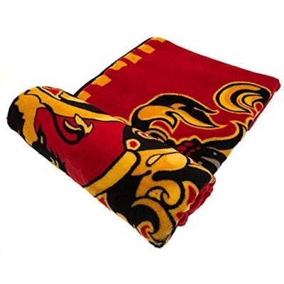 Harry Potter fleeceplaid dormiens rood 120x150cm Harry Potter fleeceplaid dormiens rood 120x150cm