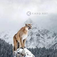 Afbeelding op acrylglas - Puma in de sneeuw - thumbnail