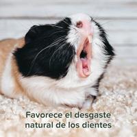 Beaphar Care+ Nature Caviavoer 1,5 kilo - thumbnail