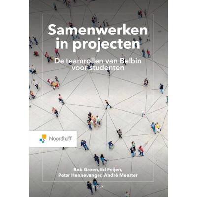 Samenwerken in projecten. (Paperback)
