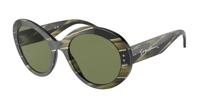 Dames zonnebril Armani AR8174-59522A Ø 53 mm - thumbnail