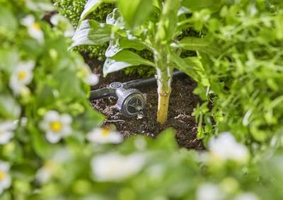 Startset voor verhoogde bloembedden en moestuinen (35 planten) - Gardena - thumbnail