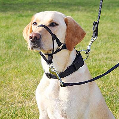Geleideharnas voor hond Trixie Top Trainer Zwart L/XL - thumbnail
