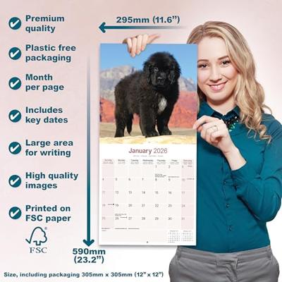 Newfoundlander Kalender 2026