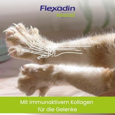 Flexadin Advanced Cat 30 kauwbrokjes - thumbnail