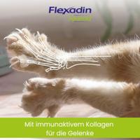 Flexadin Advanced Cat 1 zak (30 stuks) - thumbnail