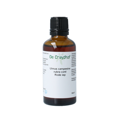 Cruydhof Ulmus Campestre Rubra Cort/Rode Iep Druppels