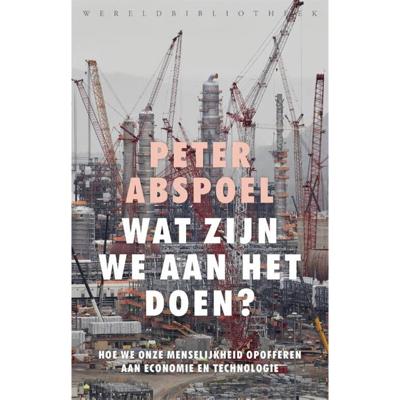 Wat zijn we aan het doen? (Paperback)