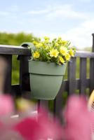 Plantenbak Vibia Campana Easy Hanger Small pistachegroen elho - Elho - thumbnail