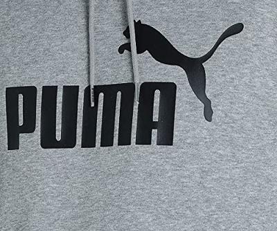 Puma Heren hoodie (Grijs , L)