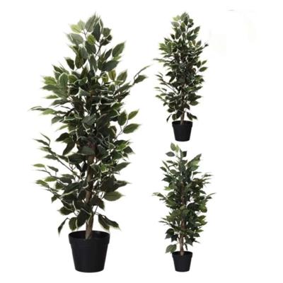 Kunstplant Ficus 95 cm Groen/Wit