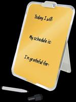 Lessenaar Leitz Cosy Gehard glas - thumbnail