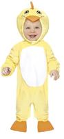 Baby Pakje Eend - thumbnail