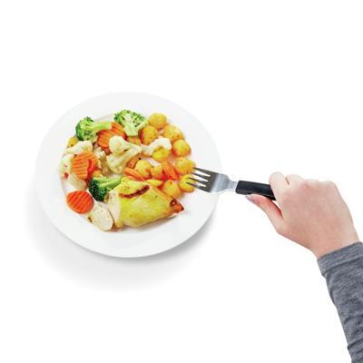 Amefa Vork recht ergonomisch