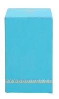 Versace Dylan Turquoise Pour Femme Eau de Toilette 30ml - thumbnail