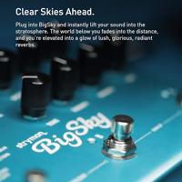 Strymon Big Sky Multi Reverb effectpedaal - thumbnail
