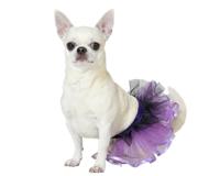 Kostuum voor honden Maat M Tutu - thumbnail