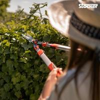 Snoeischaar Stocker Telescopisch/uitschuifbaar - thumbnail