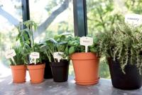 Elho Green Basics Kweekpot Mild Terra Ø17cm - thumbnail