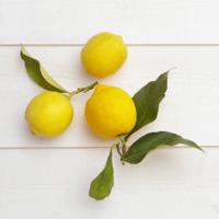 Garnier Loving Blends Zachte Klei & Citroen Verfrissende Shampoo - 300 ml - Shampoo - thumbnail