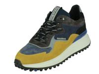 Floris Van Bommel Floris Sport - thumbnail