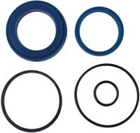 Bike-Lift dichtungssatz seal set f.hydraulics cylinder (2) - thumbnail