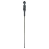 Bosch Accessories 2608596341 Bekistingsboor 20 mm Gezamenlijke lengte 400 mm Cilinderschacht 1 stuk(s) - thumbnail
