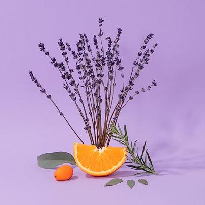 Compagnie De Provence Aromatic Lavender Liquid Marseille Soap Compagnie De Provence Aromatic Lavender Liquid Marseille Soap
