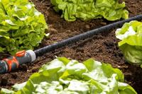 Gardena Aansluitset duizend druppelslang - thumbnail