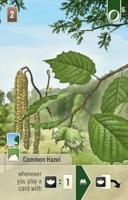 Forest Shuffle Woodland Edge - thumbnail