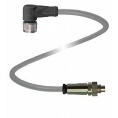 Pepperl+Fuchs 238762 Sensor/actuator connector, geassembleerd Aantal polen (sensoren): 5, 5 0.1 m 1 stuk(s)
