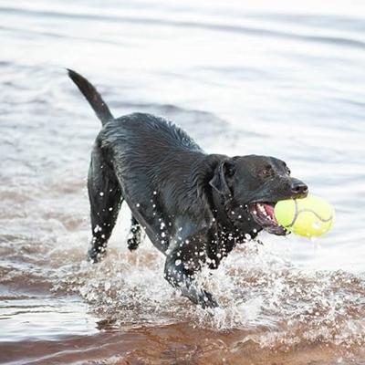 KONG AIRDOG FOOTBALL GEEL SMALL 9X5,5 CM - thumbnail