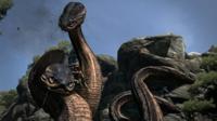 Dragons Dogma - thumbnail