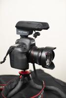 Sennheiser MKE 440 stereo richtmicrofoon - thumbnail